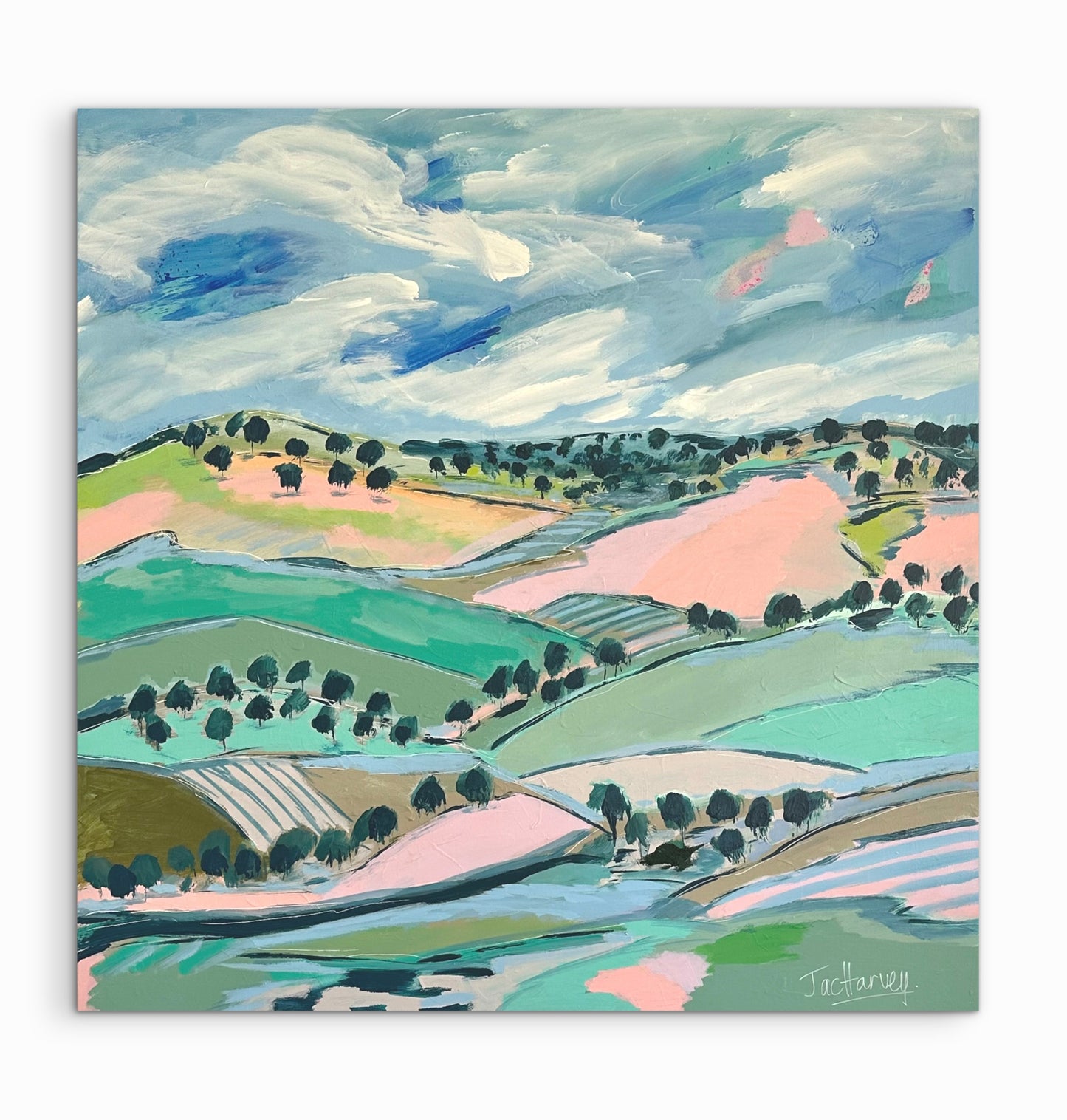 MUDGEE COLOURS"