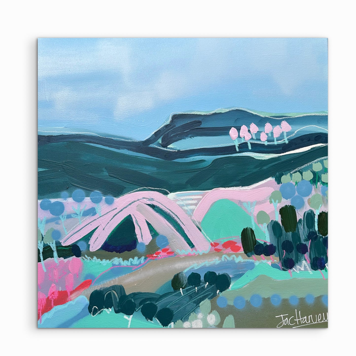 MUDGEE ABSTRACT