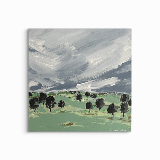 DECEMBER RAIN #3